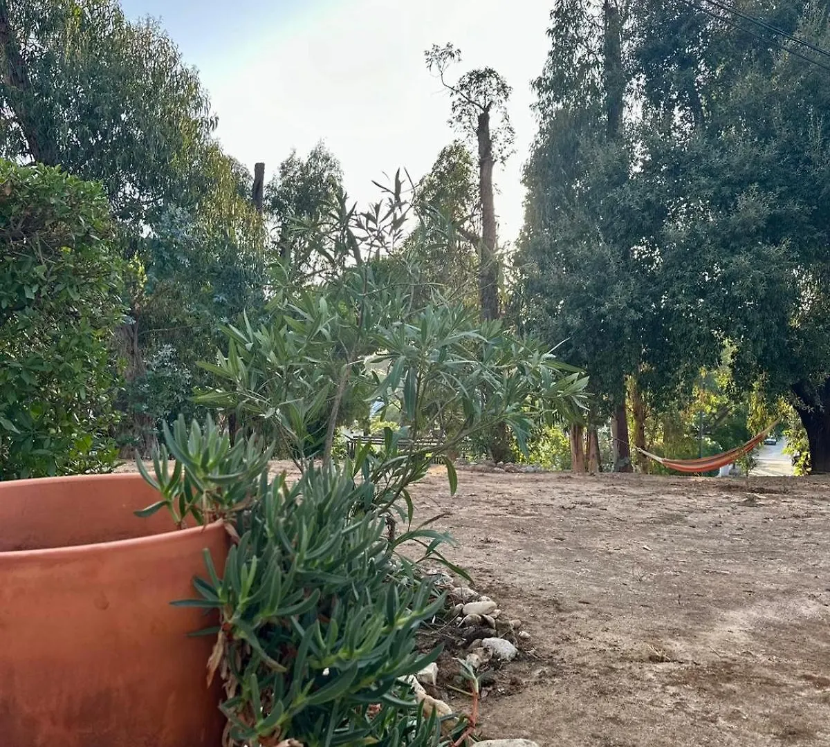 T1 With Garden Quinta Da Balaia In Albufeira Apartment